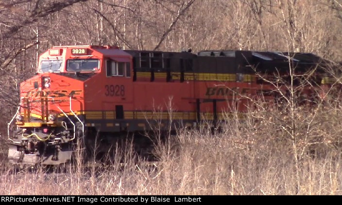 BNSF hiding in the trees